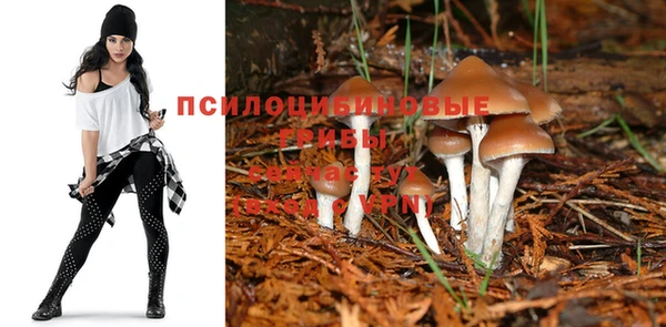 тгк Белокуриха