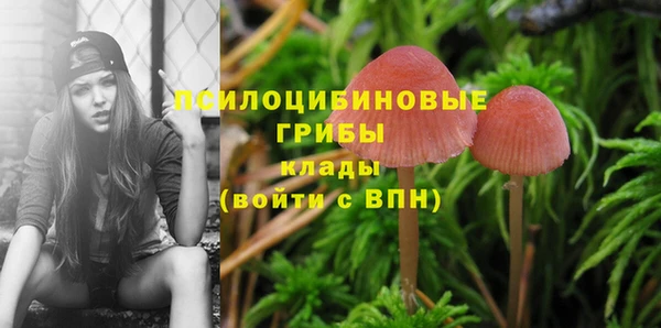 спиды Белоозёрский