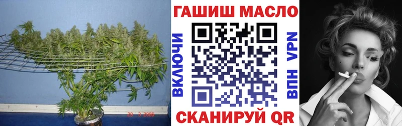 ТГК вейп Мглин