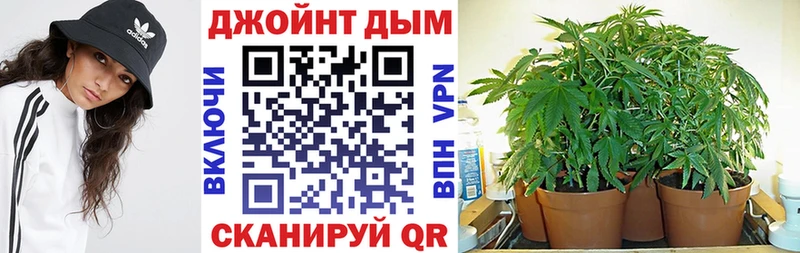 Конопля AK-47  наркотики  Мглин 